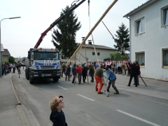 L1000119_960px
