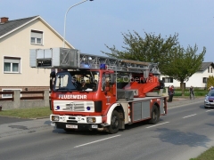 P1010036_960px