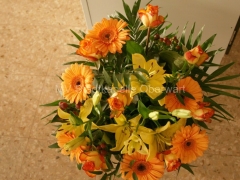 image101_960px