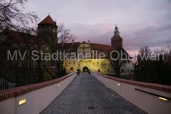 120117 Neujahrsempfang SWV