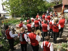 120501-Maimarsch-68_960px