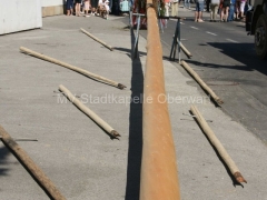 120501-Maimarsch-99_960px
