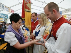 120609-BMT-Kemeten-15_960px