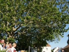 120616-BMT-Neckenmarkt-70_960px