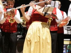 120623-Fest-der-Vereine-15_960px