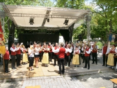 120623-Fest-der-Vereine-32_960px