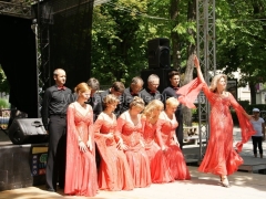 120623-Fest-der-Vereine-44_960px