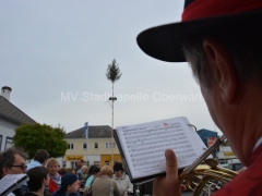 130426-Maibaumaufwtellen-Stadtwirt-45_960px