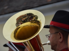 130426-Maibaumaufwtellen-Stadtwirt-52_960px