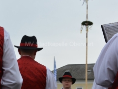 130426-Maibaumaufwtellen-Stadtwirt-53_960px