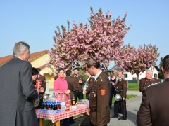 130501-Maimarsch-47_960px