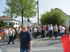 130501-Maibaumaufstellen-SPOe-02_960px