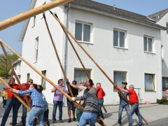 130501-Maibaumaufstellen-SPOe-19_960px