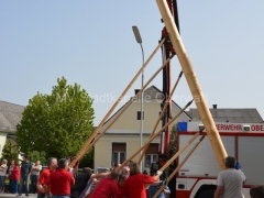 130501-Maibaumaufstellen-SPOe-21_960px