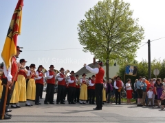 130501-Maibaumaufstellen-SPOe-25_960px