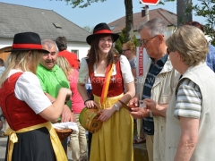 130501-Maibaumaufstellen-SPOe-27_960px
