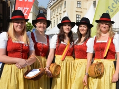 130513-Kultinarium-Wien-13_960px