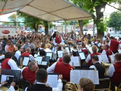 130707-Der-Traum-eines-oesterreichischen-Reservisten-02_960px