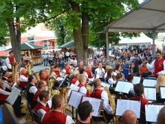 130707-Der-Traum-eines-oesterreichischen-Reservisten-54_960px