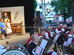 130707-Der-Traum-eines-oesterreichischen-Reservisten-60_960px