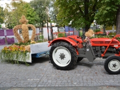 130908-Bezirkserntedankfest-03_960px