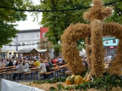 130908-Bezirkserntedankfest-18_960px