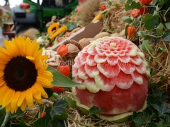 130908-Bezirkserntedankfest-24_960px