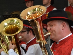 130908-Bezirkserntedankfest-36_960px