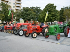 130908-Bezirkserntedankfest-40_960px
