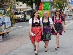 130908-Bezirkserntedankfest-41_960px