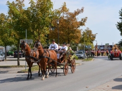 130908-Bezirkserntedankfest-50_960px