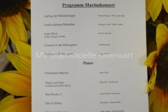 131109 Martinikonzert