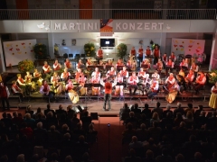 131109-Martinikonzert-027_960px