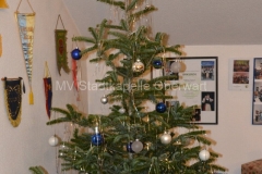 131217 Weihnachtsfeier Nachwuchs