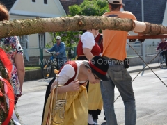 140501b-MB-SPOe-002-_960px
