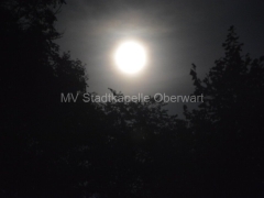 150828-MT-Schaeff-085-_960px