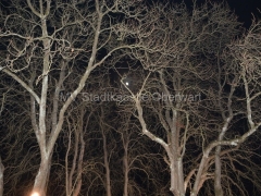 160118-SWV-NE-40-_960px