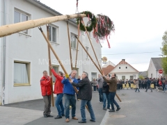 Maibaumaufst.SPOe-11-_960px