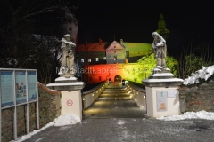 180116 Neujahrsempfang des SWV-Burgenland