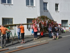 180501-M-Auf.SPOe02_960px