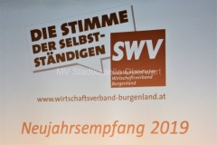 190108 SWV - Neujahrsempfang