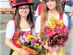 230501-b Maibaumaufstellen