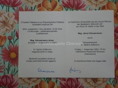 DSC00385-Large