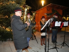 231200-Weihnachten-im-Stadtgarten-11-Large