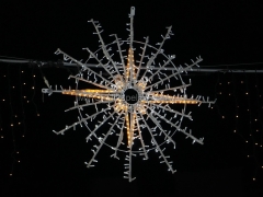 231200-Weihnachten-im-Stadtgarten-18-Large
