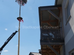 260501-Maibaumaufstellen-27_1920px